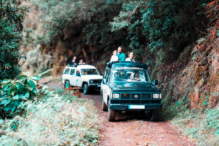 Jeep safaris on a dirt path through a forest with people riding on roof.