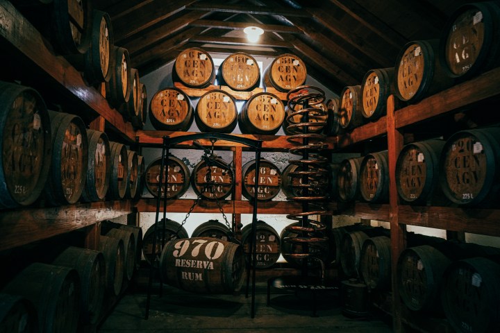 Barrels of rum aging in a dimly lit cellar with wooden shelves.