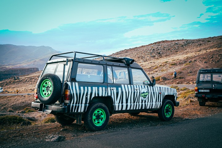 Jeep with zebra stripes and green wheels parked in a desert landscape.