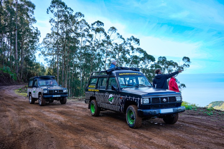 Two safari vehicles on a dirt road near trees, people standing outside pointing.