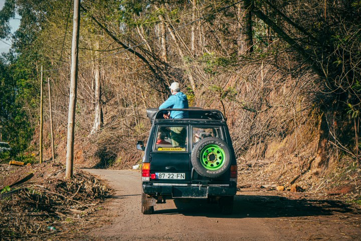 Person sitting atop a blue SUV on a dirt road surrounded by trees.