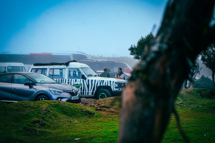 Parked cars in a foggy landscape, with a zebra-patterned van in the center.