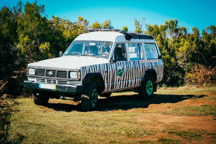 Safari vehicle with zebra stripes parked on grassy area with bushes in background.