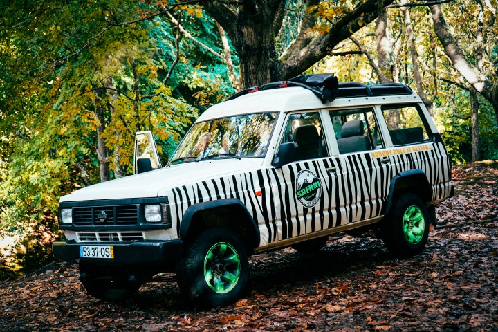 Zebra-striped safari SUV with green wheels parked in a forest with autumn leaves.