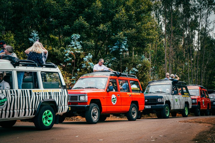 Safari vehicles with tourists on a forest road, some standing and looking out at Madeira island