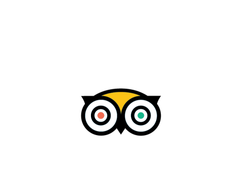 tripadvisor certificate of excellence