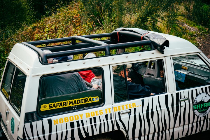 Safari jeep with zebra stripes and passengers, lush greenery background.