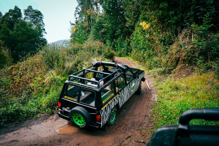Jeep with zebra stripes driving on a muddy forest trail.