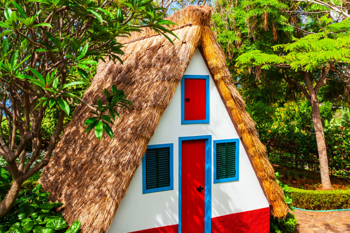 Traditional A-frame house with thatched roof and red door in a lush garden.