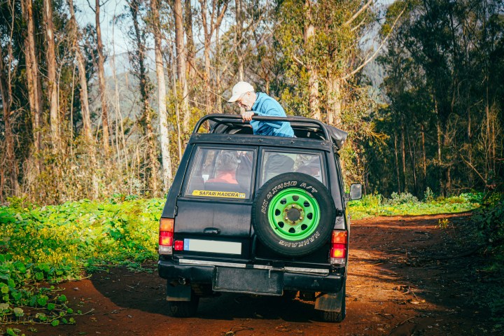 Person standing in an open-roof SUV driving on a forest path.